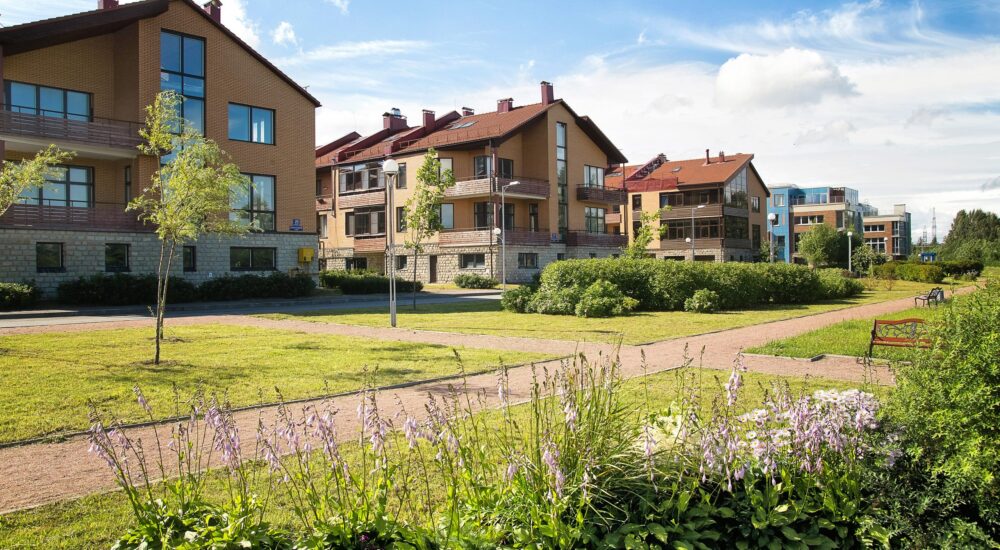 houses and green grass